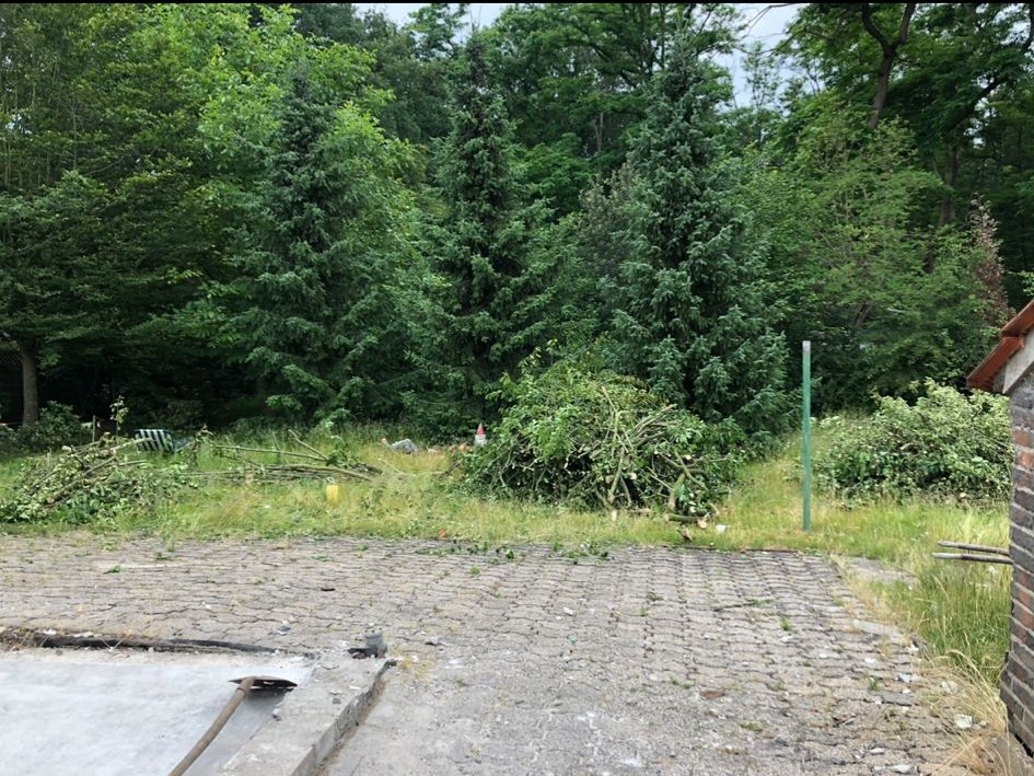 Garten2 alt