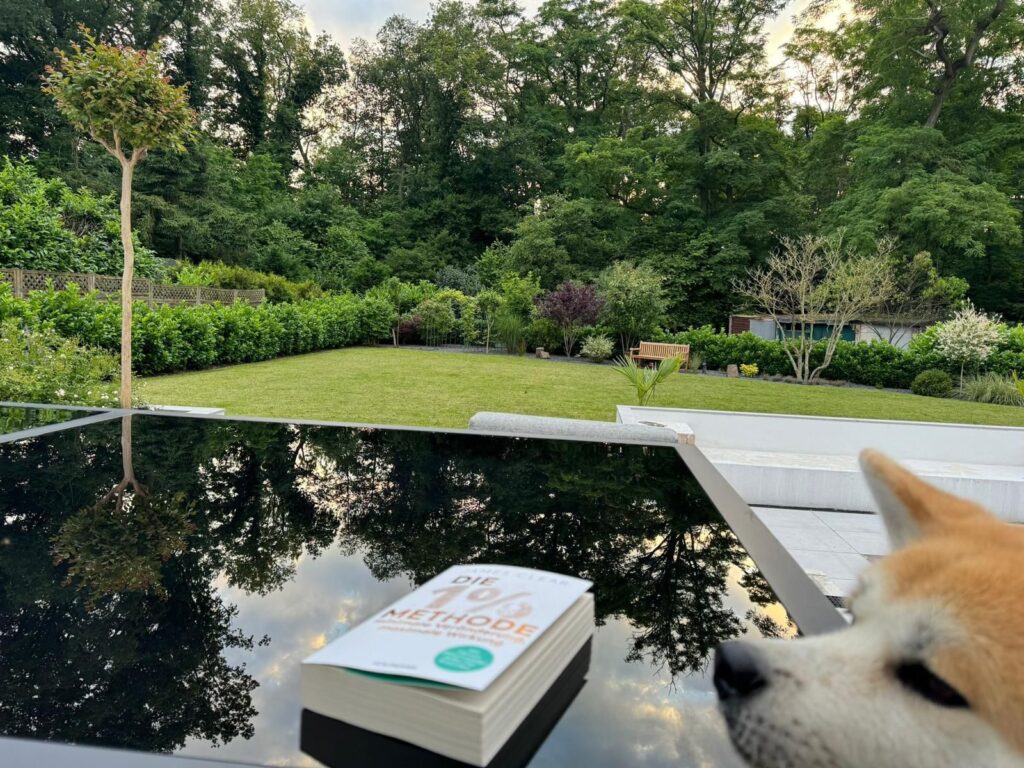 Garten neu 3